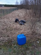 Foto: Abstellen von Dieselkanistern 